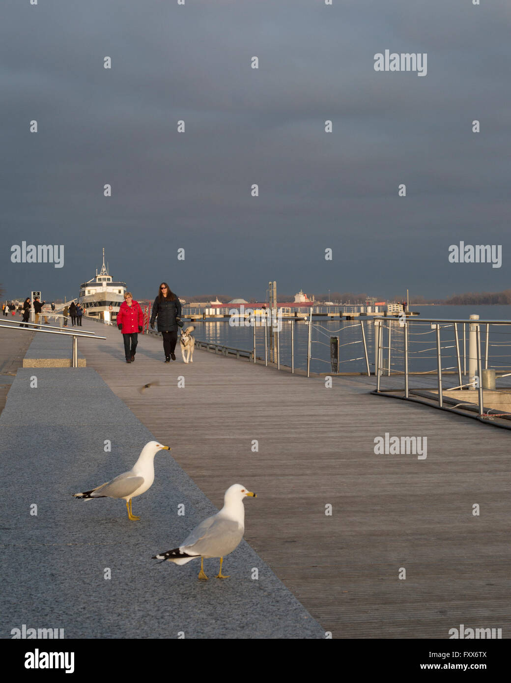 Boardwalk am Ufer des Lake Ontario in Toronto mit Möwen und Menschen zu Fuß Stockfoto