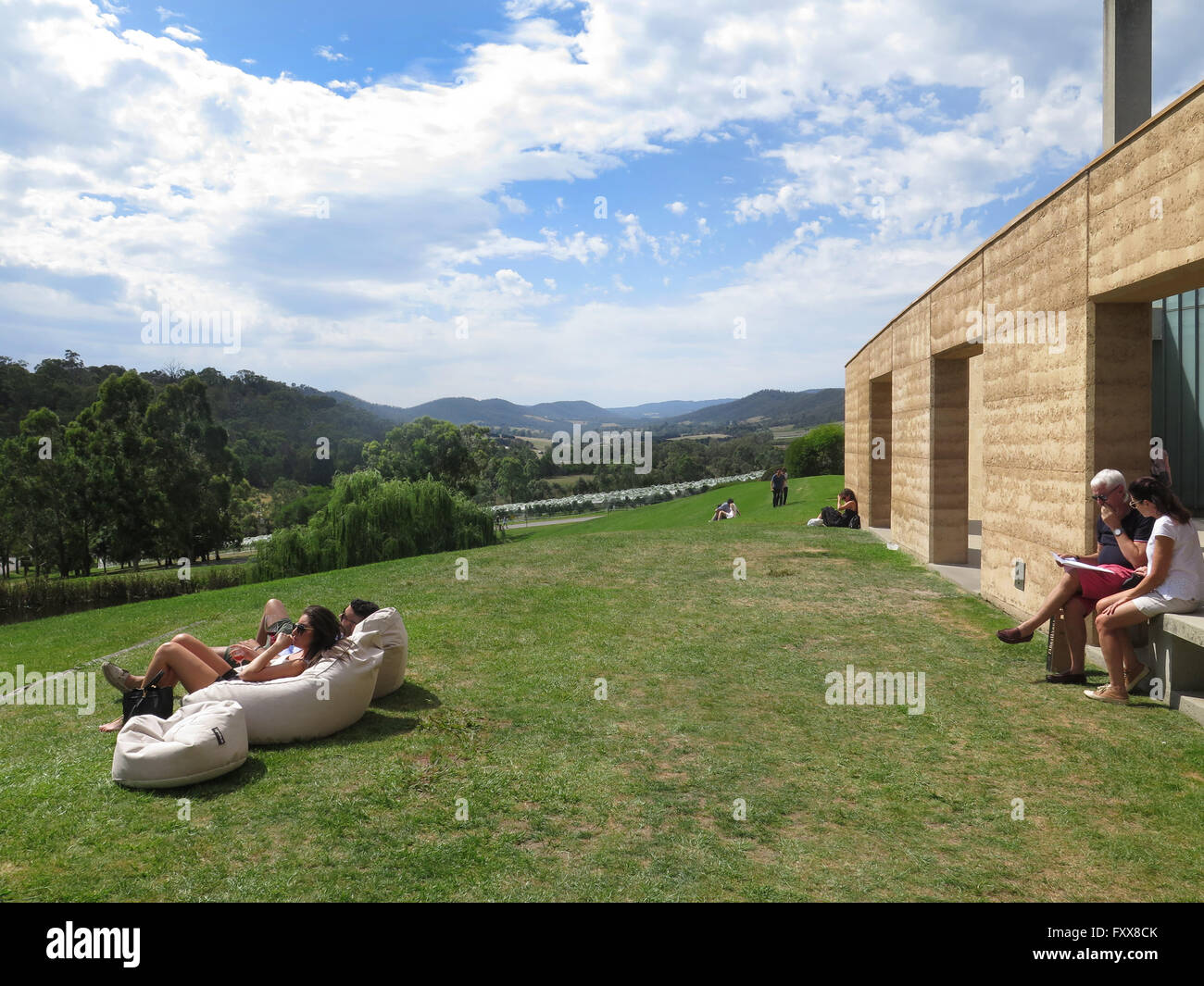 Böschung an der Tarra Warra Winery, Yarra Valley, Victoria, Australia Stockfoto