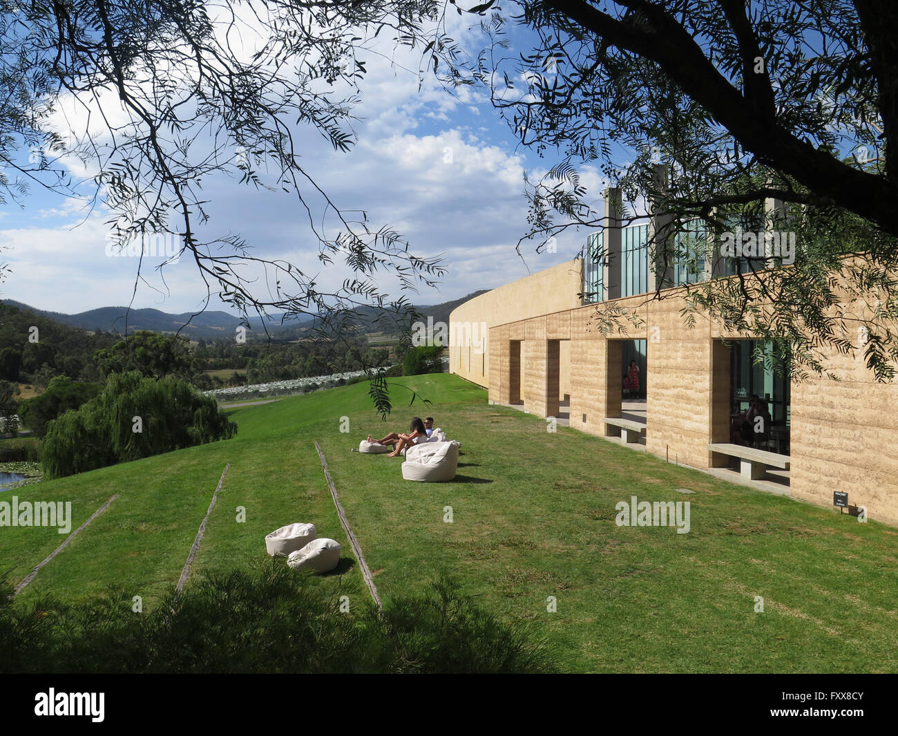 Böschung an der Tarra Warra Winery, Yarra Valley, Victoria, Australia Stockfoto