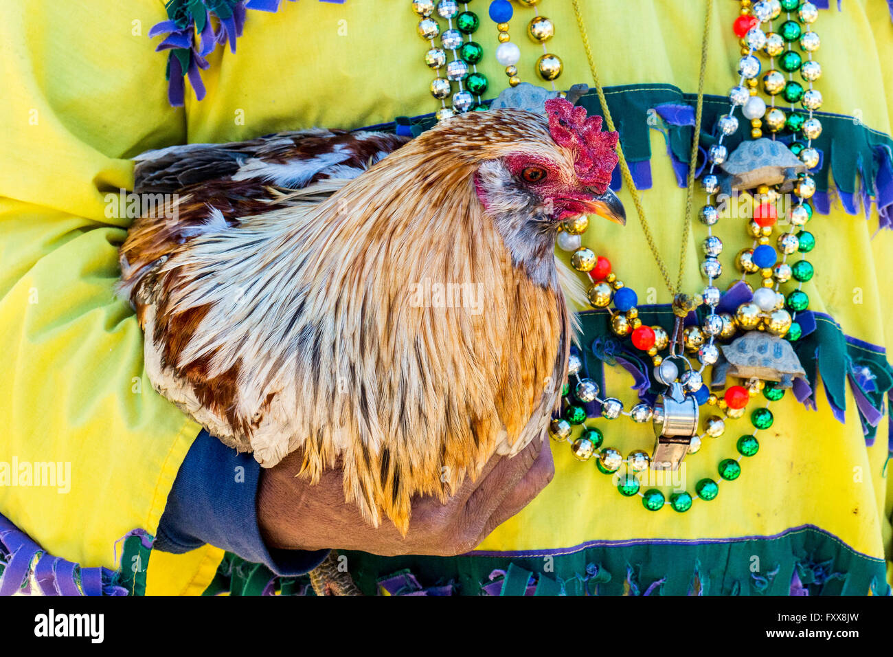 Rodney Victorian, Huhn Beschriftung hält man seinen Preis-Hähne für den traditionellen Chicken Run während Lake Charles Familie fr Stockfoto