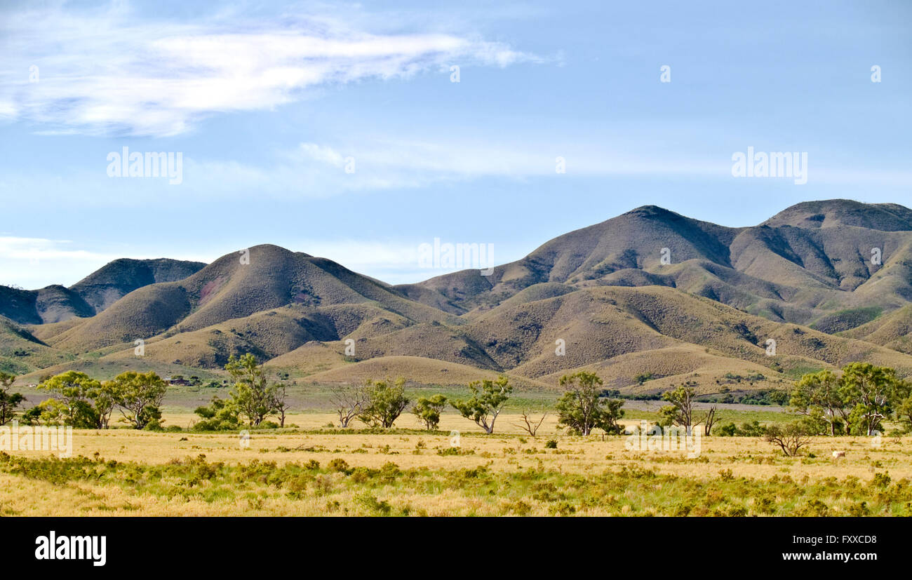 Australien: Flinders Ranges, Südaustralien Stockfoto