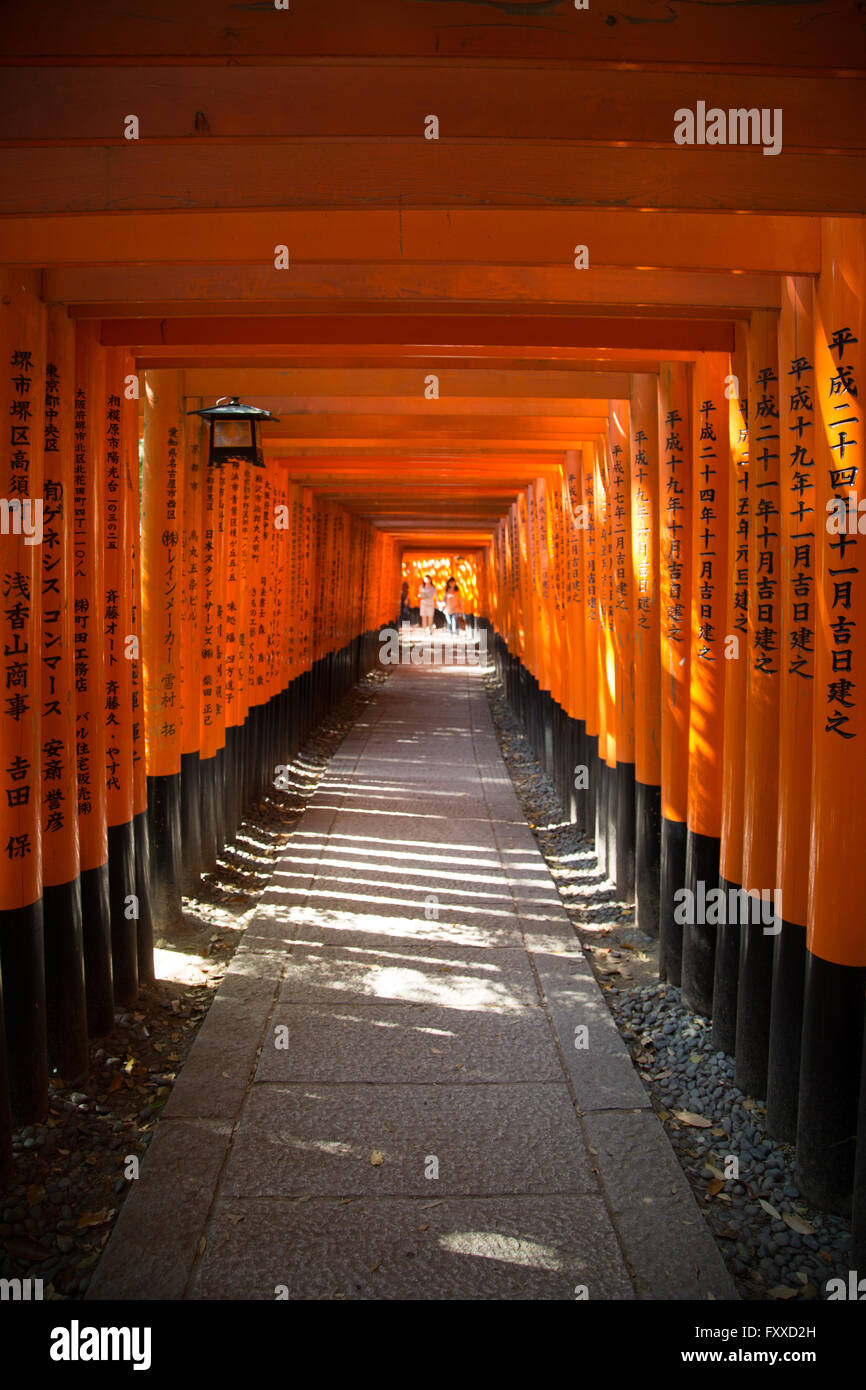 Der Durchgang durch die orange Tore des Fushimi Inari-Schrein in Kyōto, Japan. Stockfoto