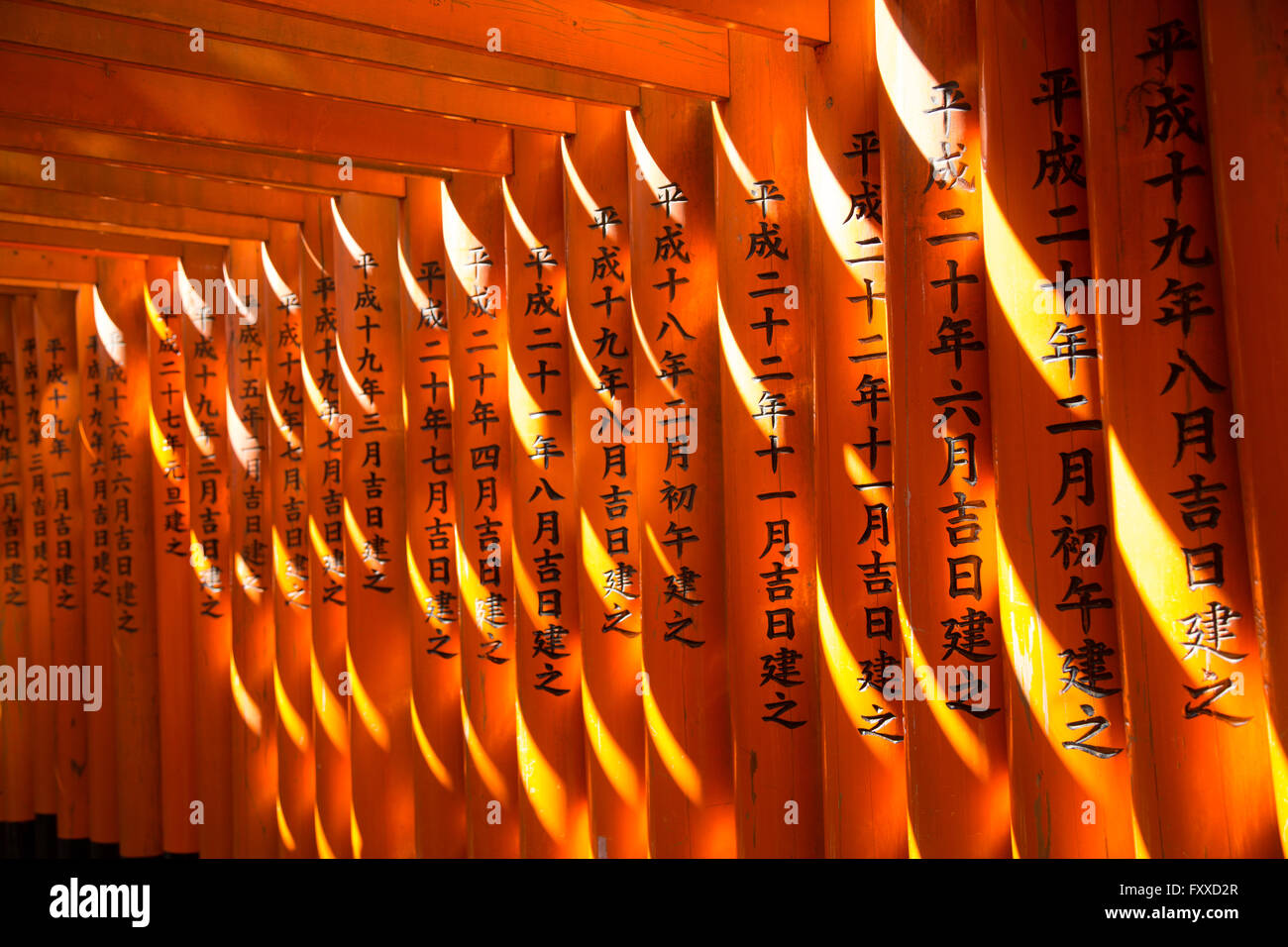Licht fällt auf die Spalten der Fushimi-Inari-Schrein, die mit japanischen Schriftzeichen eingeschrieben sind. Stockfoto