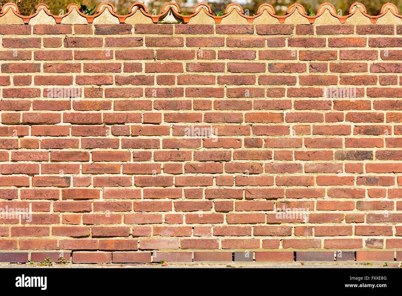 Roten Backsteinmauer mit einer Reihe von Dachziegeln an der Spitze. Stockfoto