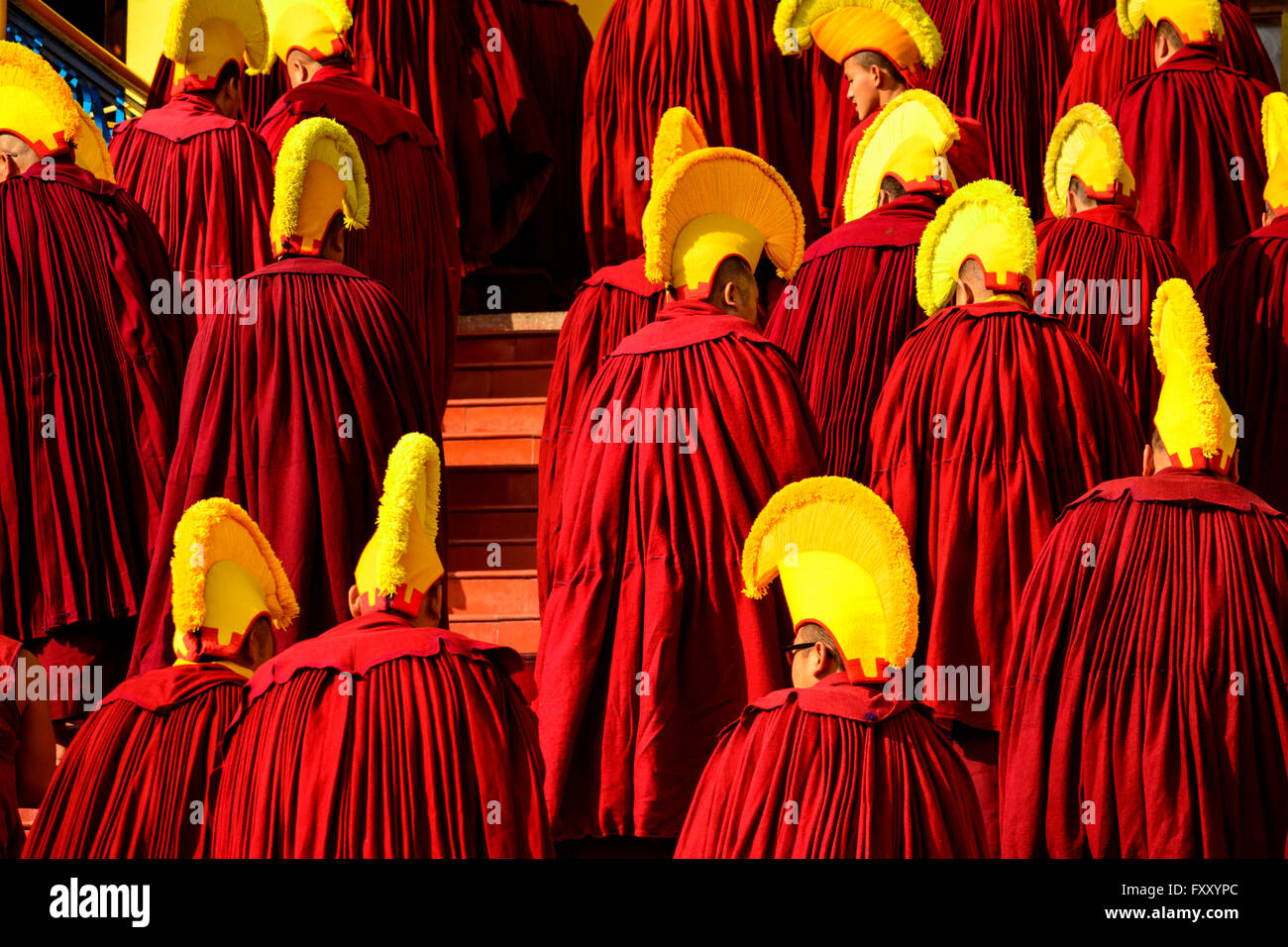 Buddhistische Mönche von Gyuto Tantra Kloster dharamsala Stockfoto