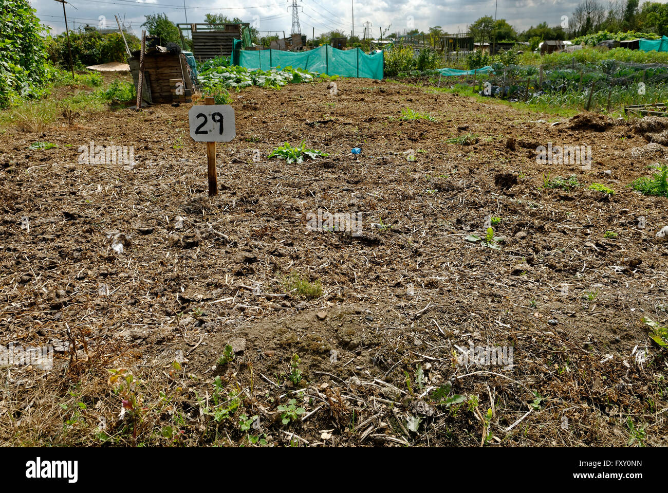 Freie Grundstück, Schrebergarten, wo Land für persönliche Anbau von Obst und Gemüse zur Verfügung steht. Stockfoto