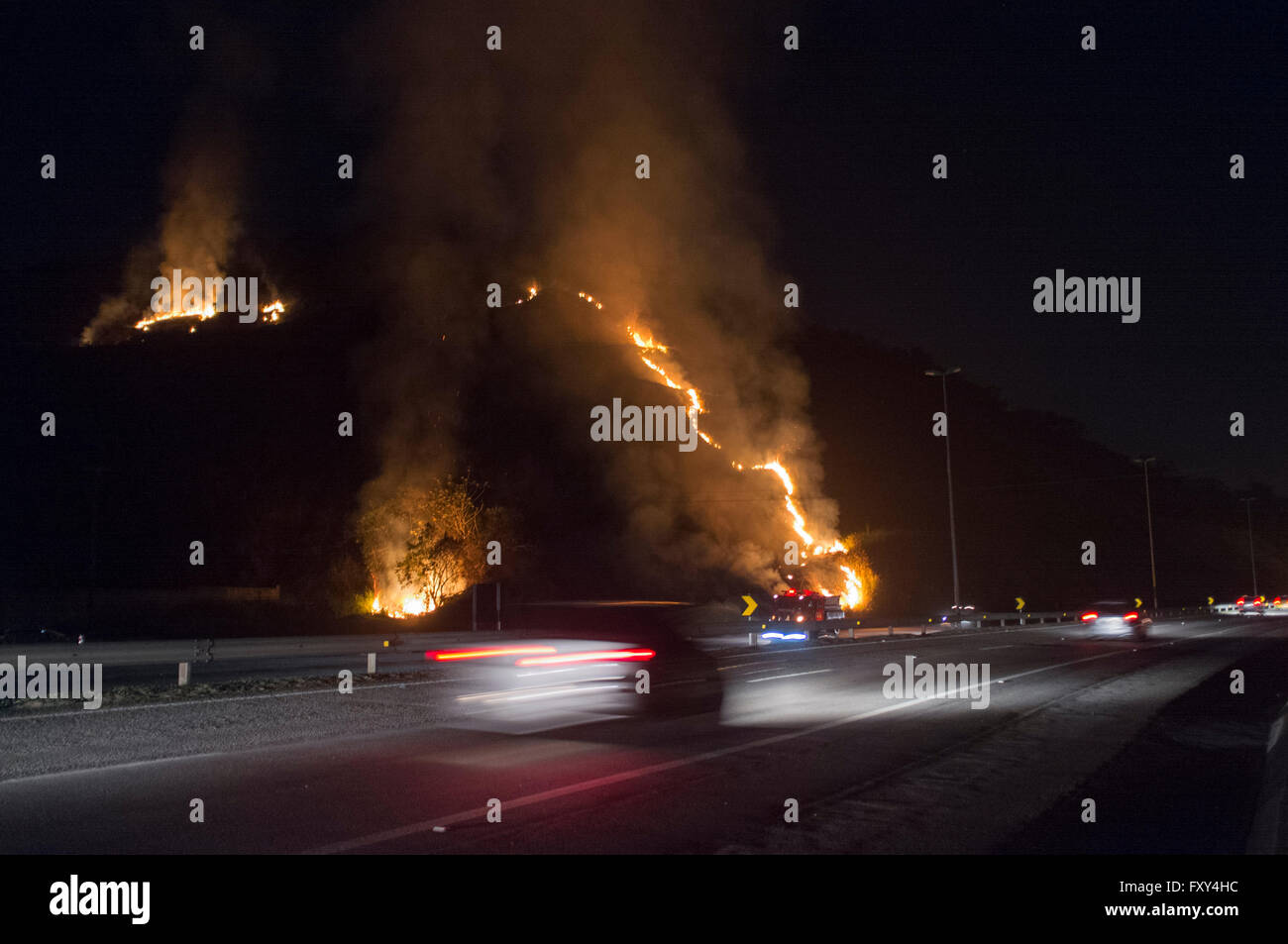 Feuer im Wald neben Autobahn. Stockfoto