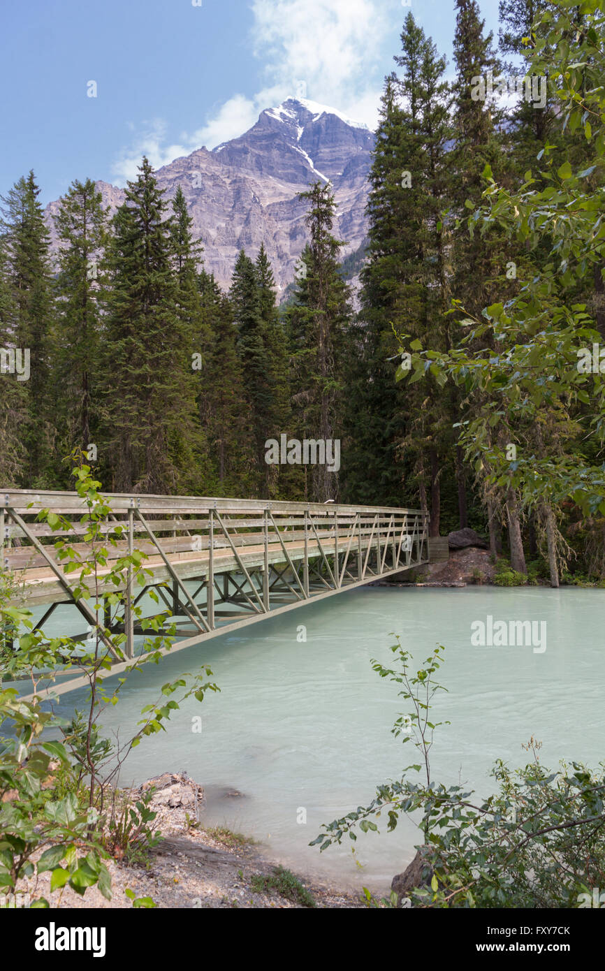 Holzsteg auf dem Berg Lake Trail mit Blick auf Mount Robson - höchste Berg in den kanadischen Rockies Stockfoto