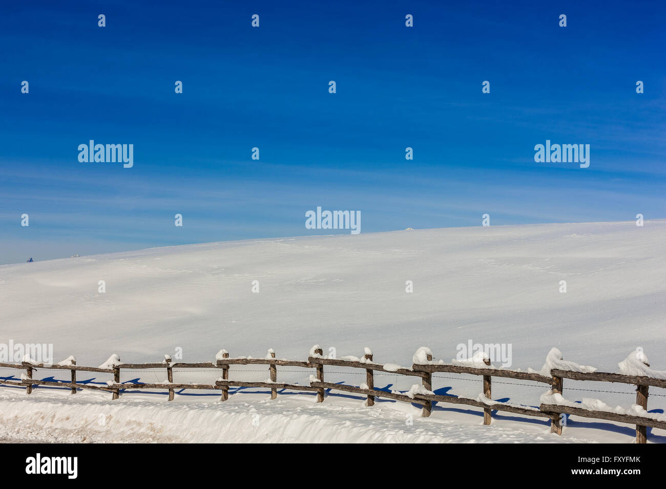 Veneto Cansiglio Alpago Col Indes | Veneto Cansiglio Alpago Col Indes Stockfoto