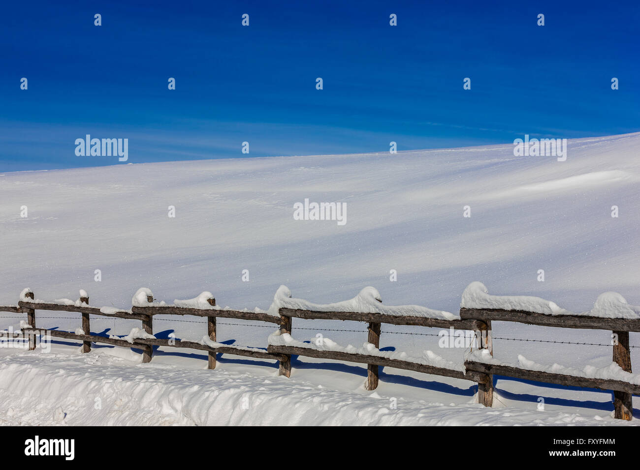 Veneto Cansiglio Alpago Col Indes | Veneto Cansiglio Alpago Col Indes Stockfoto