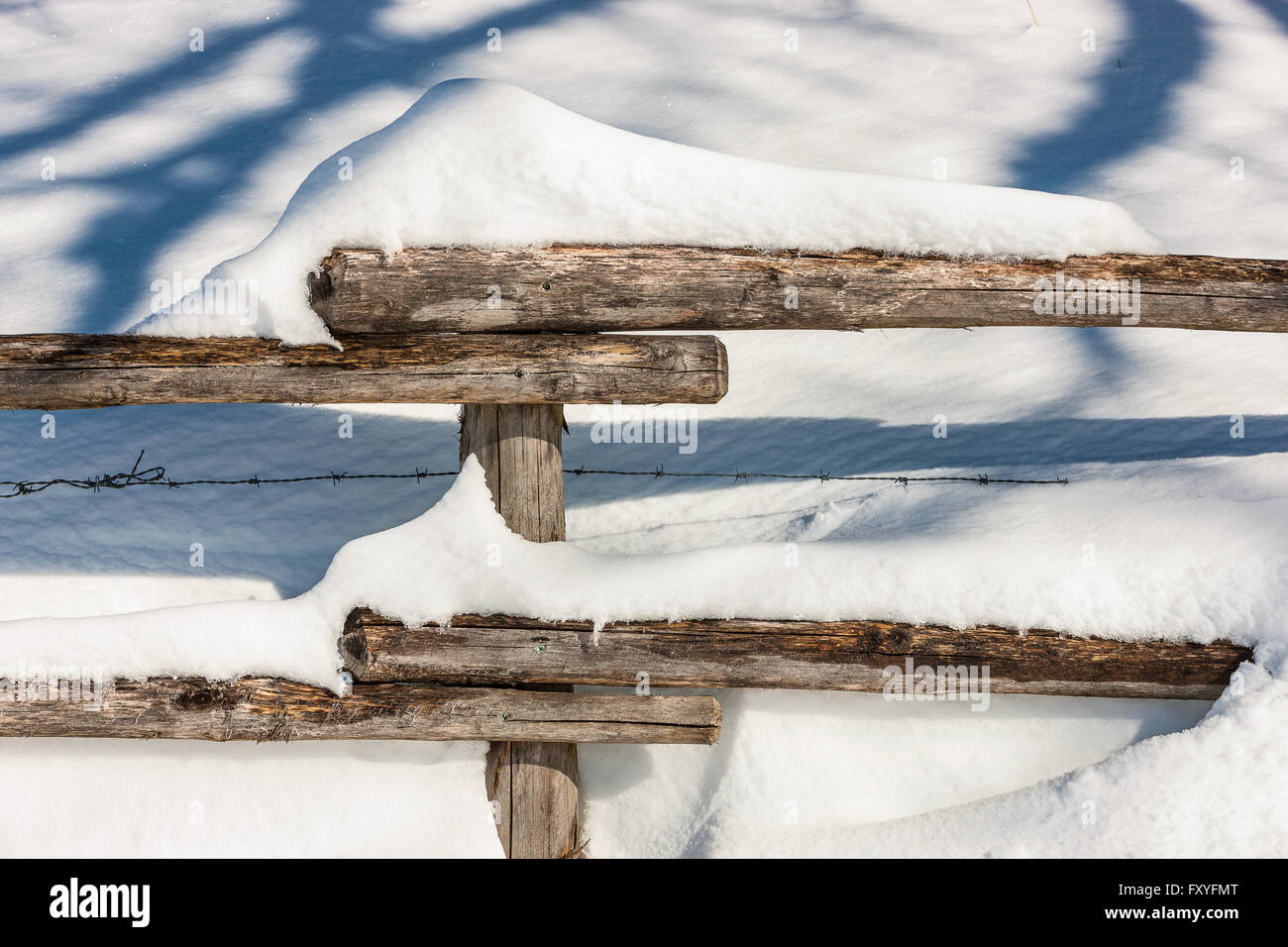 Veneto Cansiglio Alpago Col Indes | Veneto Cansiglio Alpago Col Indes Stockfoto