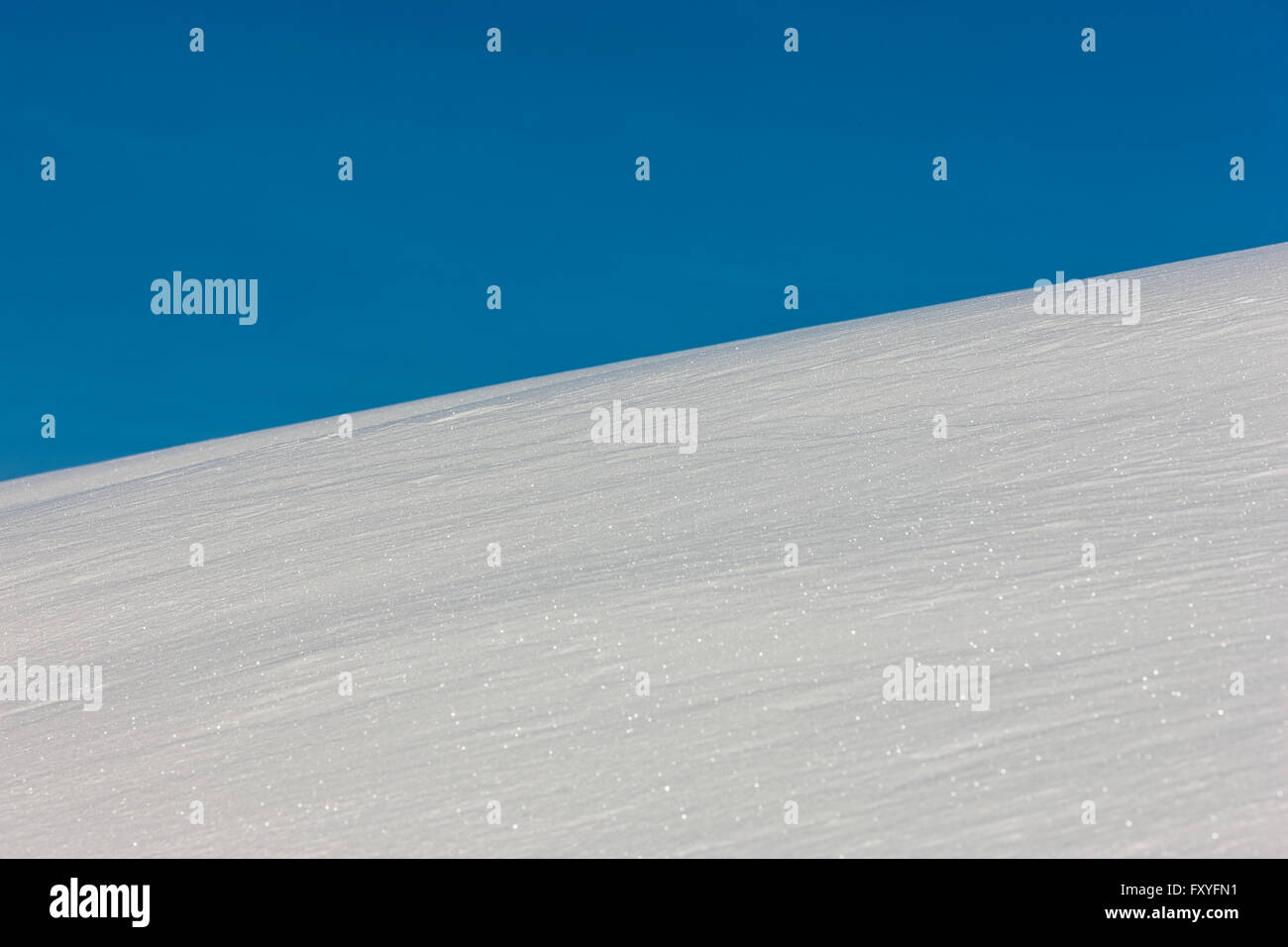 Veneto Cansiglio Alpago Col Indes | Veneto Cansiglio Alpago Col Indes Stockfoto