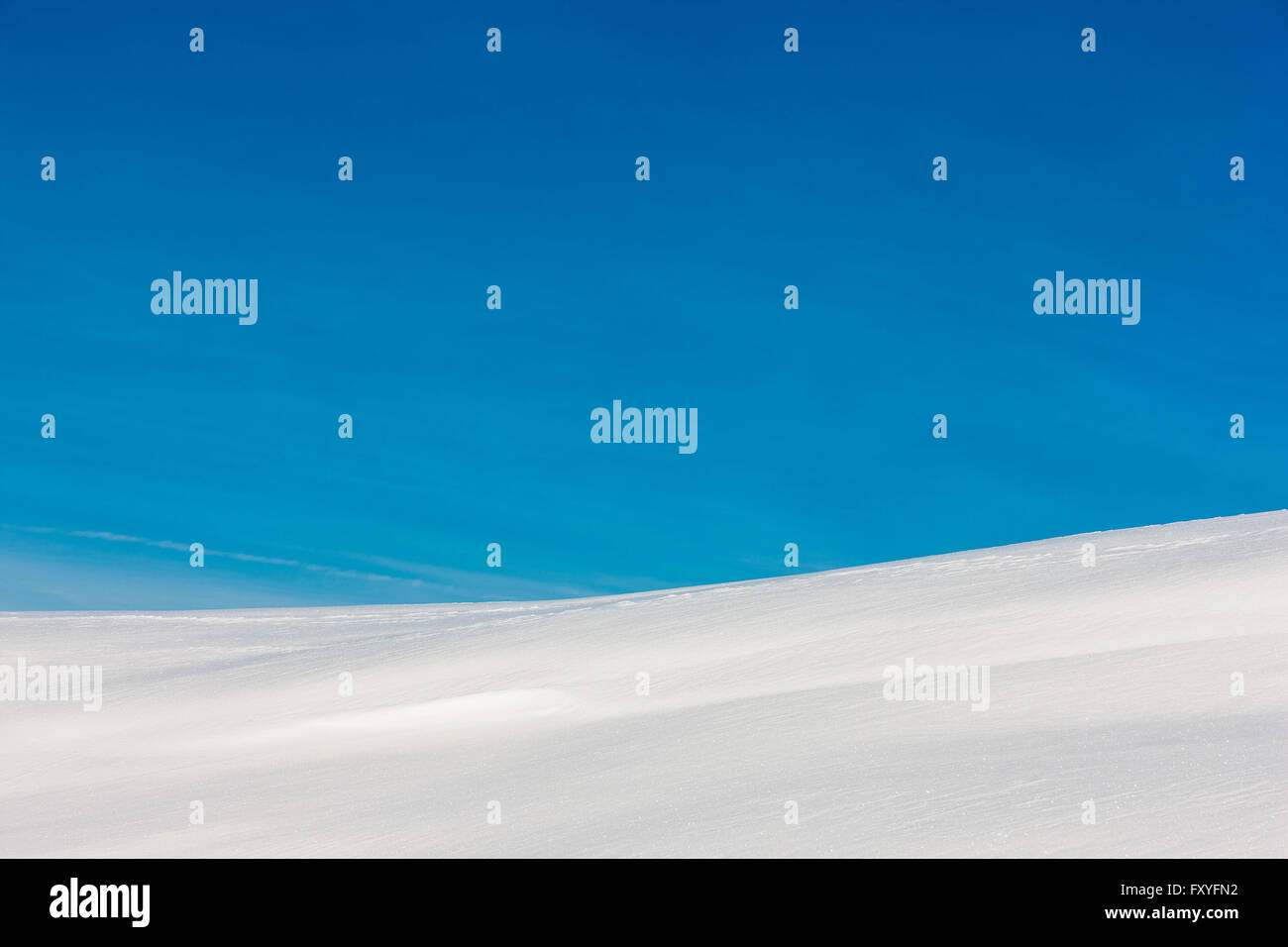 Veneto Cansiglio Alpago Col Indes | Veneto Cansiglio Alpago Col Indes Stockfoto