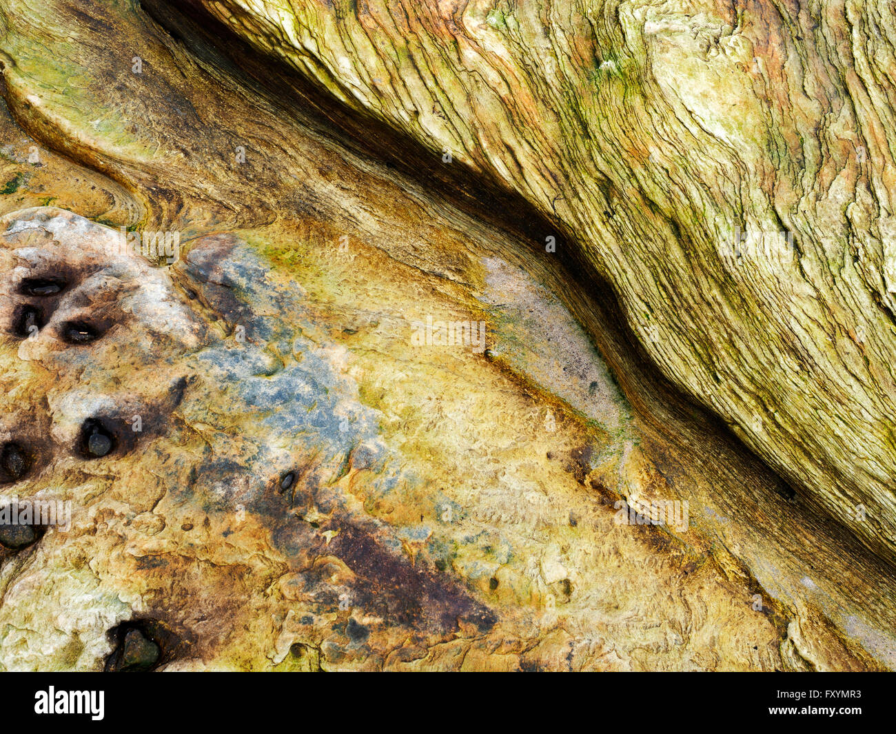 Rock-Detail an Boulmer Strand Northumberland Küste Englands Stockfoto