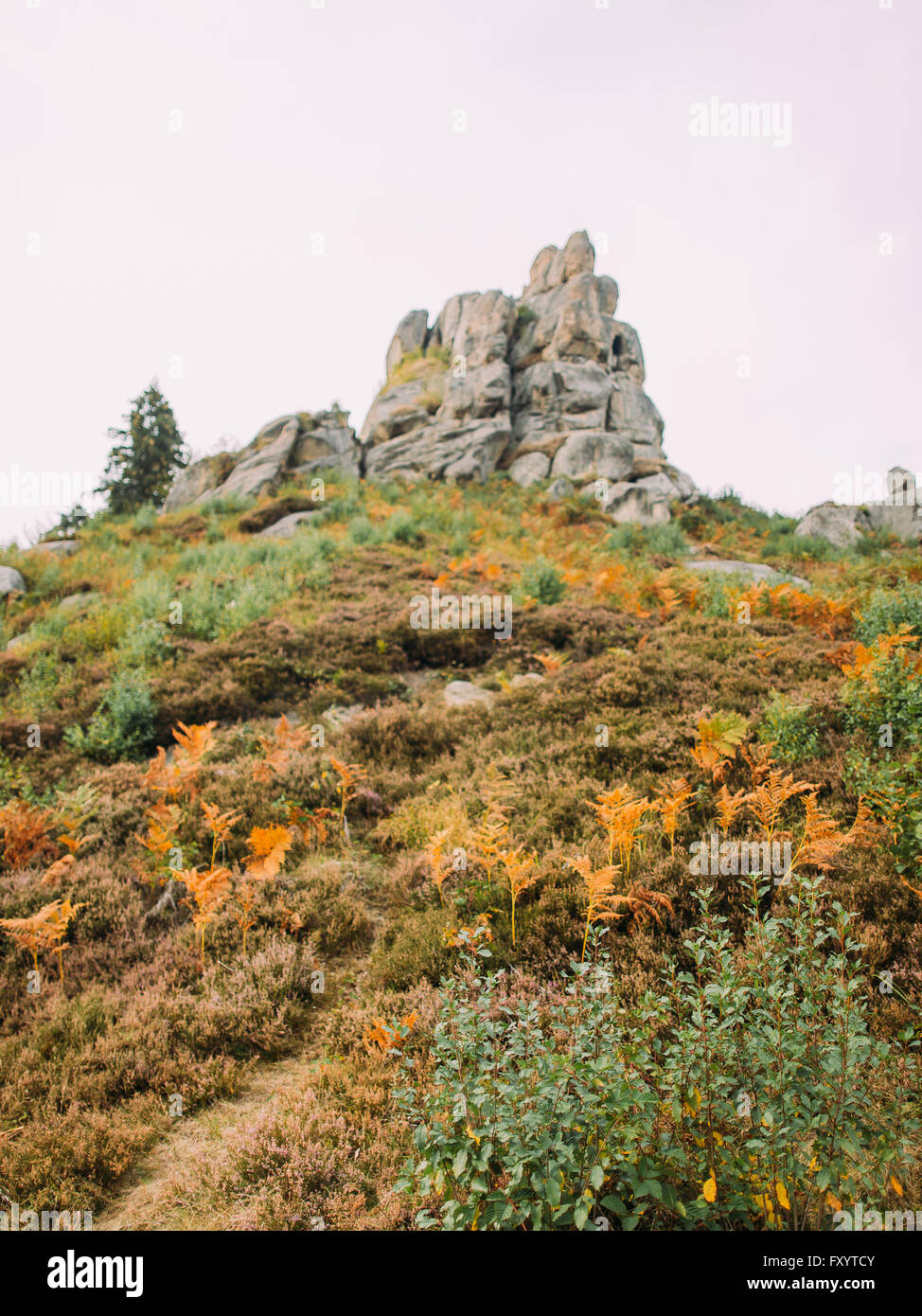 Tustan - Stein Ruinen der alten Festung Felsenstadt in Karpaten, Ukraine Stockfoto