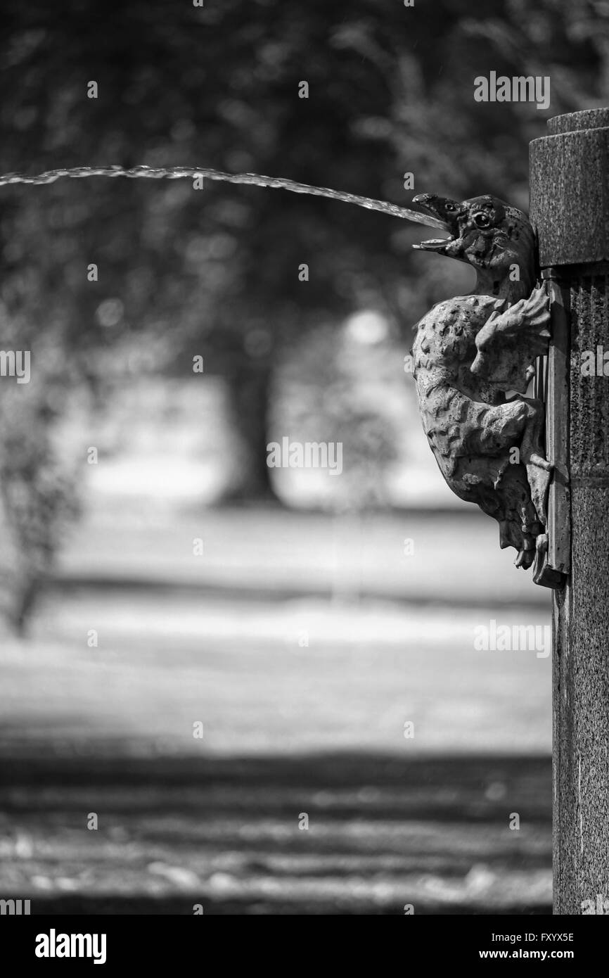 Eine monochrome Aufnahme einer Bronze Vogel Skulptur auf einem Brunnen Wasser aus seinem Mund schießen Stockfoto