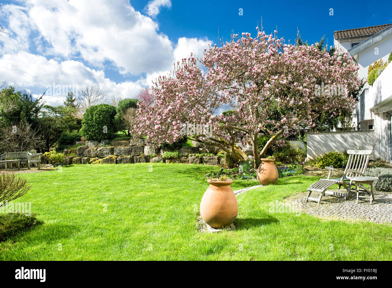 Schönen Frühlingsgarten mit blühenden Magnolie. Sonnigen Tag Stockfoto