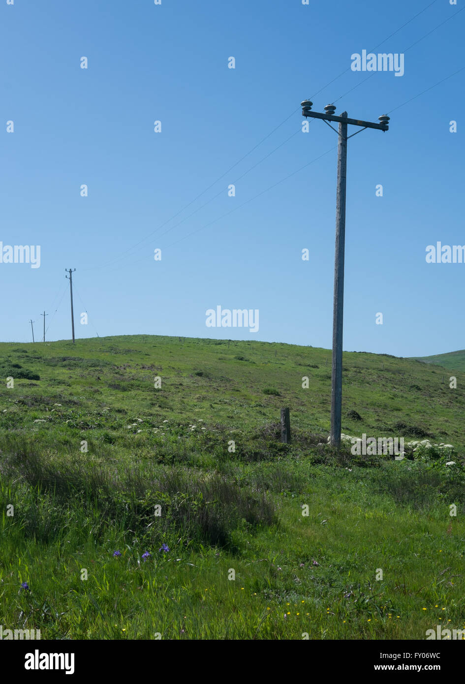 Strommasten schneiden über und eine grüne grasbewachsenen Hang mit einem blauen Himmelshintergrund Stockfoto