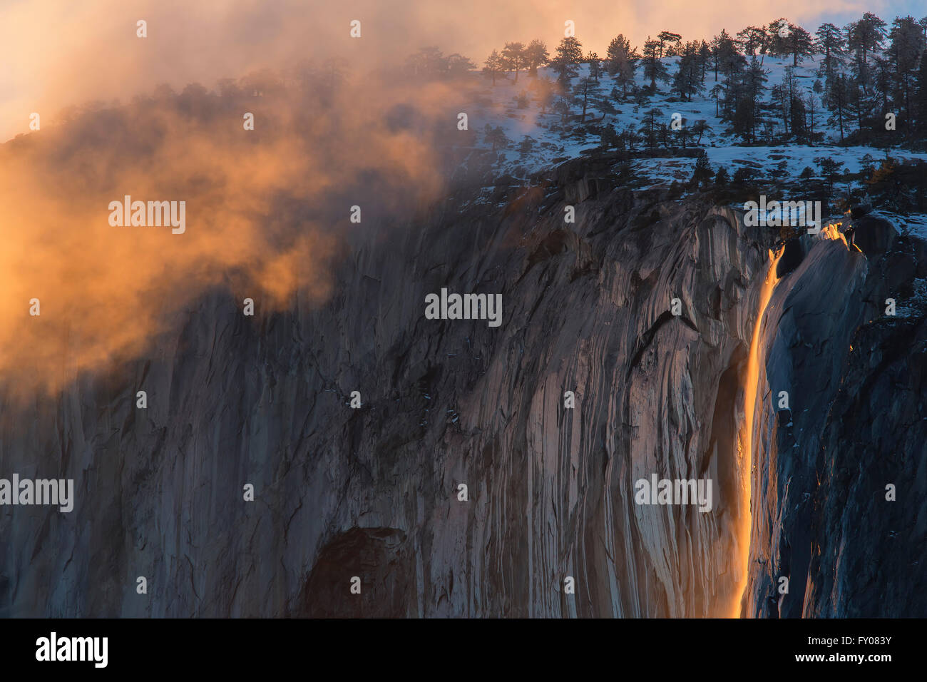 Schachtelhalm Herbst im Yosemite National Park Stockfoto