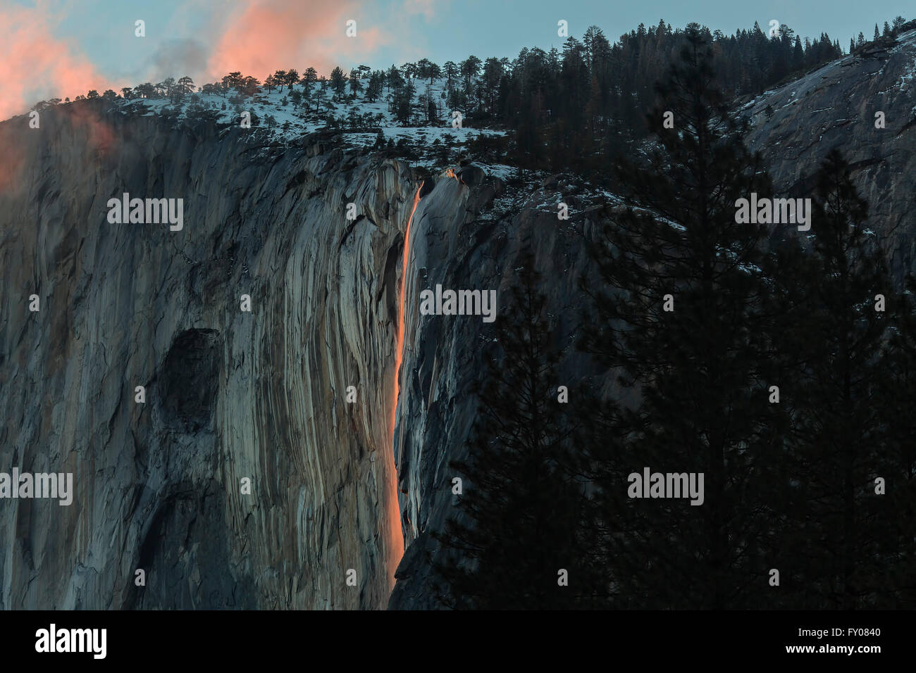 Schachtelhalm Herbst im Yosemite National Park Stockfoto