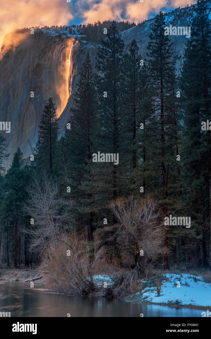 Schachtelhalm Herbst im Yosemite National Park Stockfoto