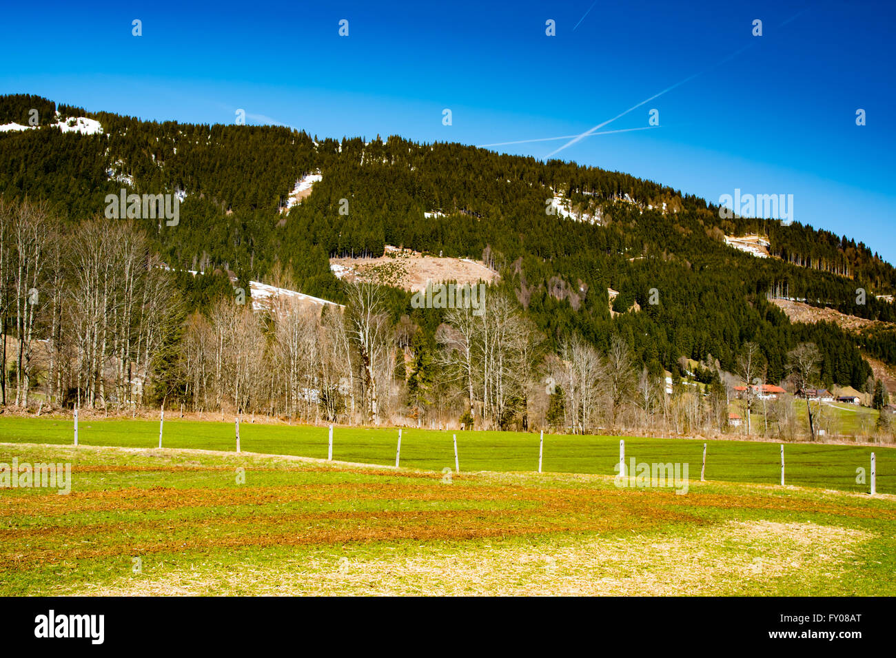 Idyllische Landschaft in den Alpen mit frischen grünen Wiesen Stockfoto