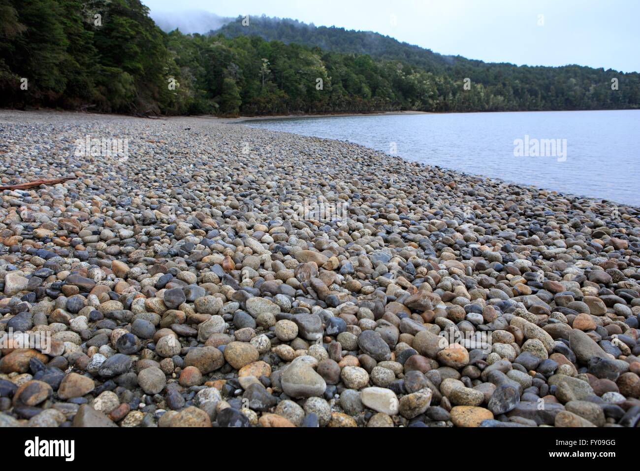 Ein Kiesstrand am Lake Te Anau, Fjordland National Park, Neuseeland Stockfoto