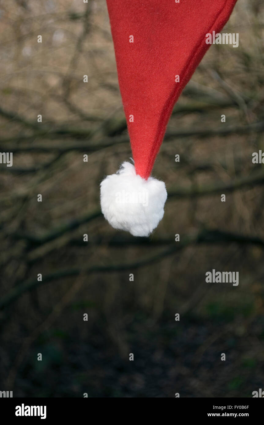 Weihnachtsmann-Mütze aus einem Ast hängen Stockfoto