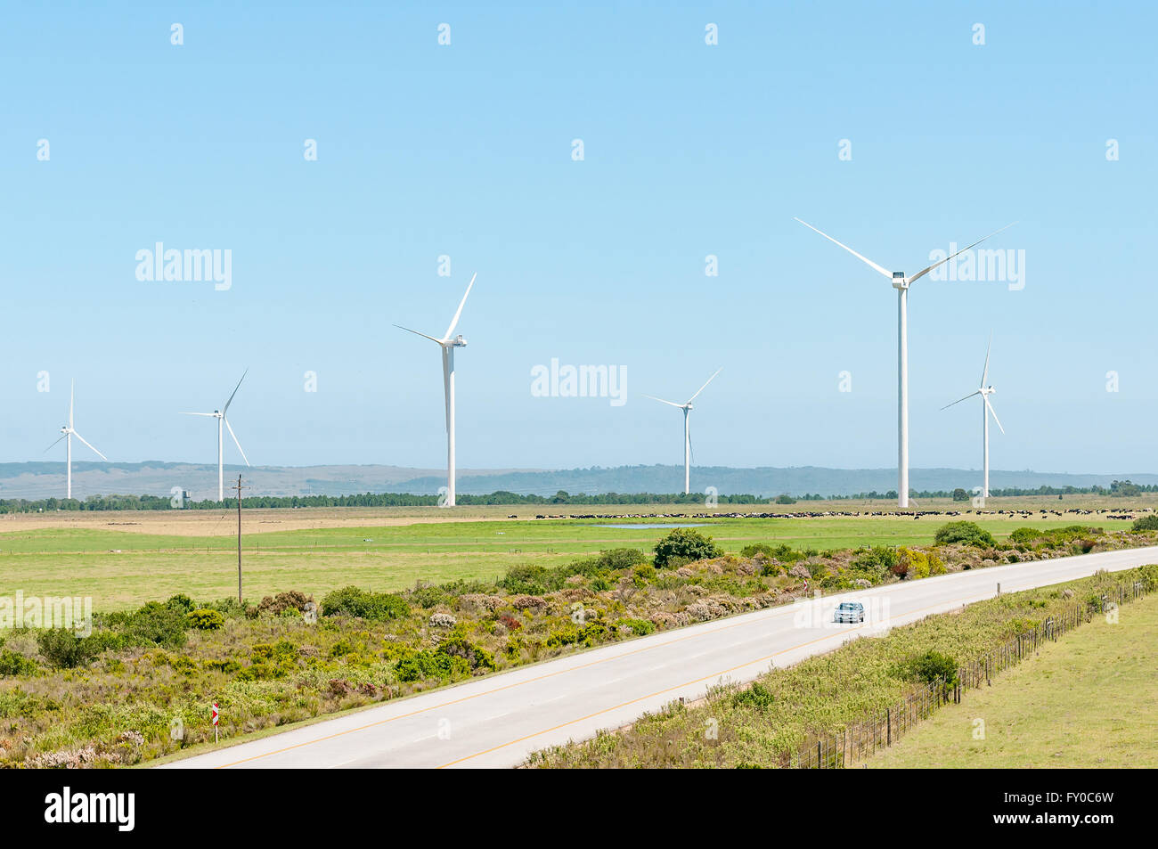 RSM, Südafrika - 28. Februar 2016: The N2 National Road in der Nähe von RSM mit windbetriebenen Turbinen und Rinder Stockfoto