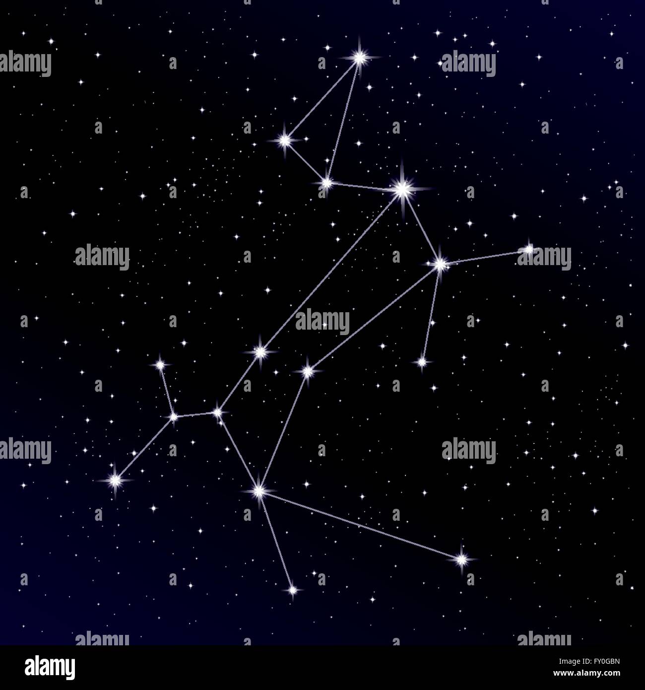 Konstellation Canis Major Stock Vektor