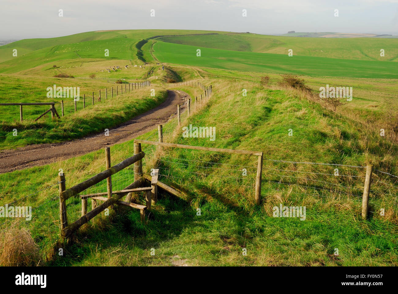 Die Wansdyke alten Erdarbeiten auf den Wiltshire Downs, Blick in Richtung Tan Hill. Stockfoto