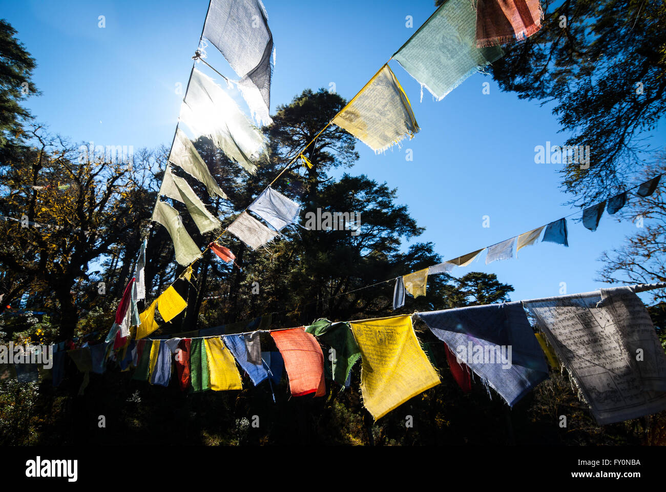 Massen von bunten Gebetsfahnen am Dochu La, 3140-m gehen auf der Straße zwischen Thimphu und Punakha im westlichen Bhutan Stockfoto