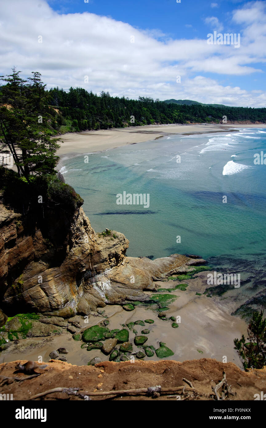 Oregon Coast mit Moos bedeckt Felsen in der Vordergrund-Bucht um zu Bucht mit Wellen gespült.  Getauchten Protokolle in foregrd Stockfoto