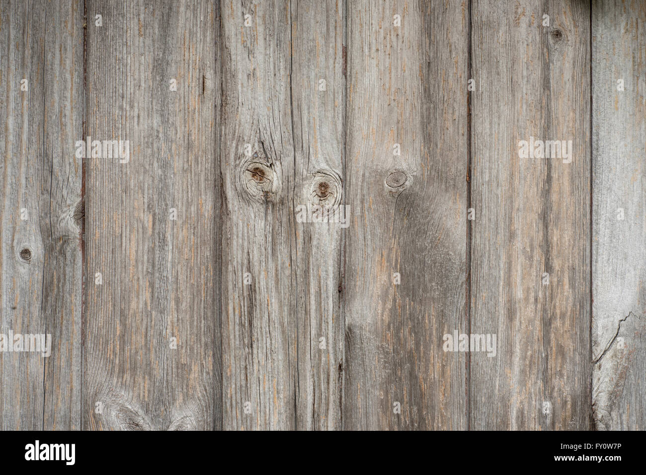 Verwitterte natürliche Holzplatte outdoor-Wand Stockfoto