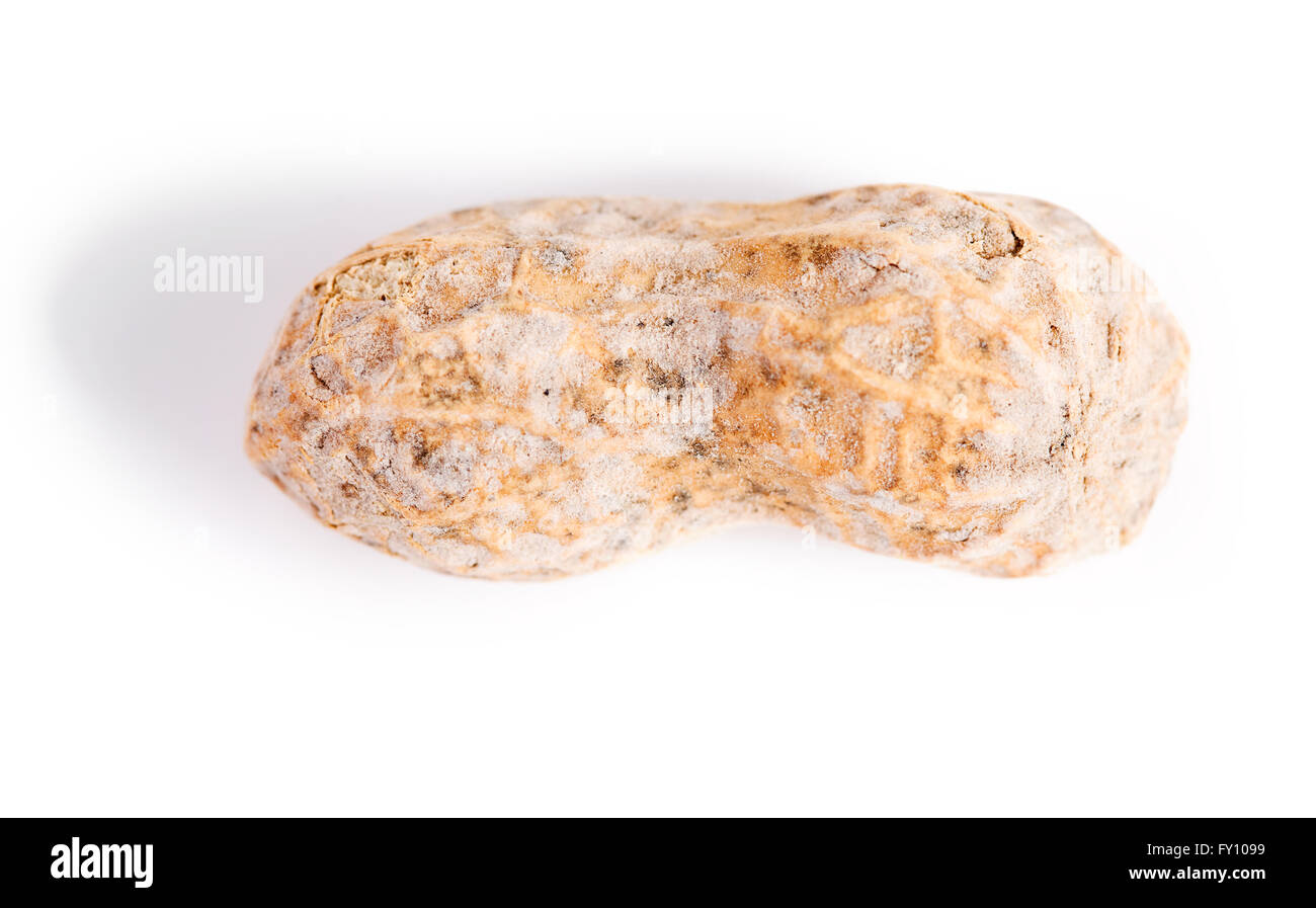 Serie über Baseball.  Mit amerikanischen Flagge isoliert, Baseball-Handschuhe und andere Requisiten. Stockfoto