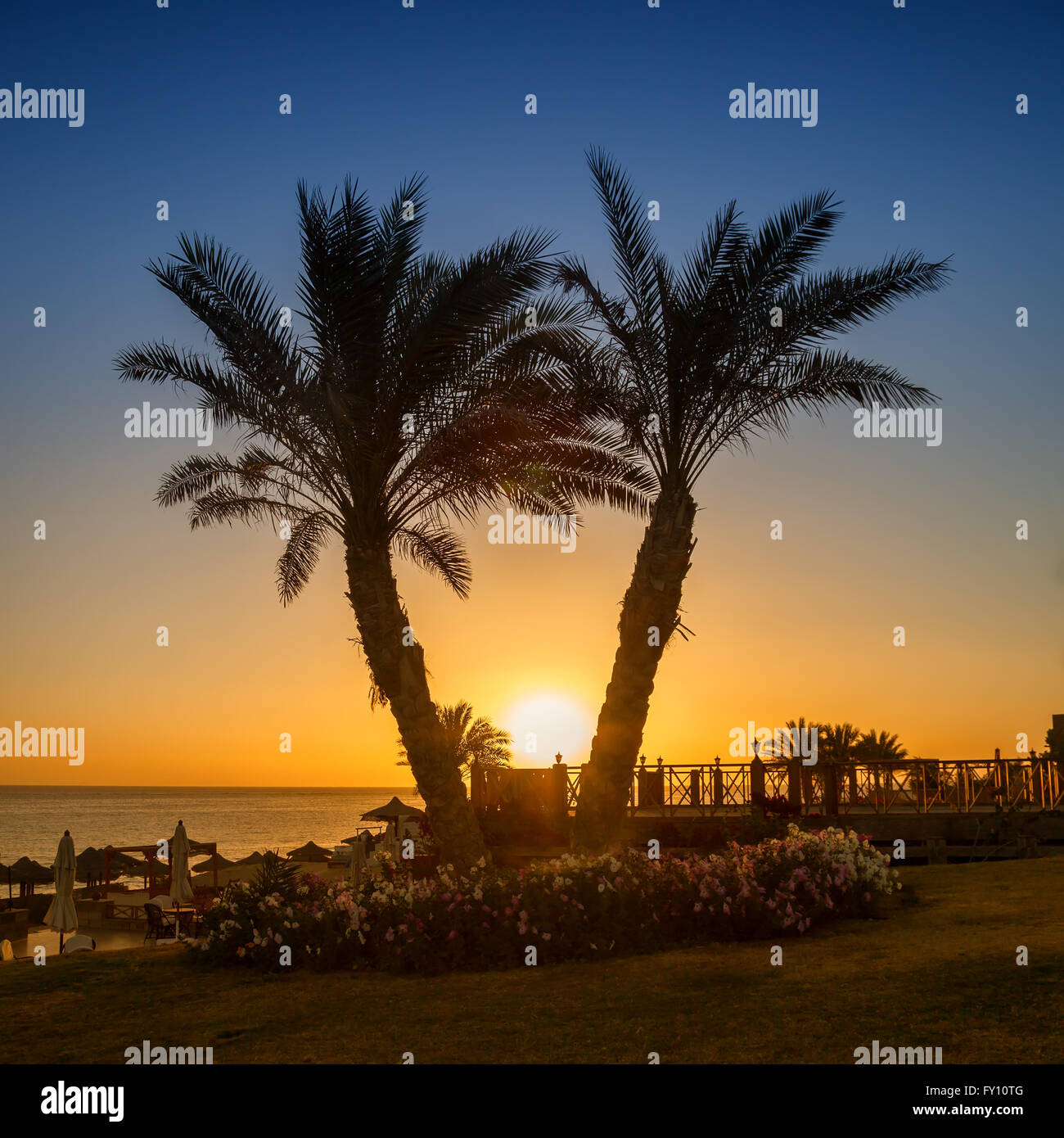Sonnenaufgang über dem Roten Meer, Marsa Alam, Ägypten Stockfoto