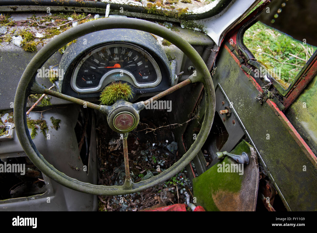 Die Überreste eines Robin Reliant Vintage van langsam verrottet in einem kleinen Bauernhof, der seit 30 Jahren unberührt. Stockfoto