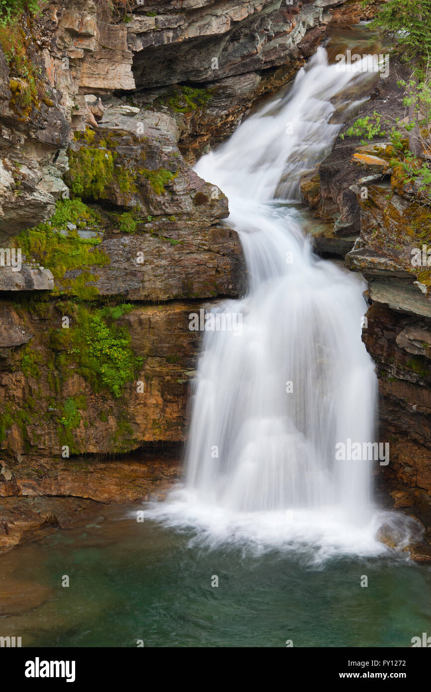 Blakiston Falls, Waterton Lakes National Park, Alberta, Kanada Stockfoto