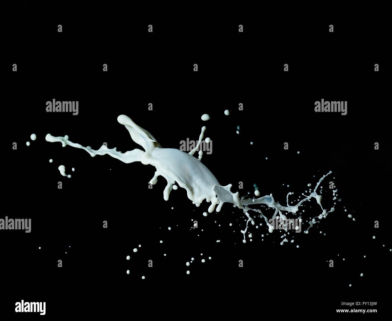 Nahaufnahme von Milch spritzt auf schwarzem Hintergrund Stockfoto