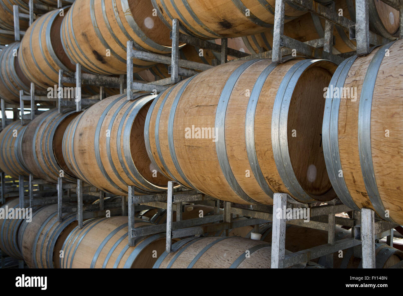 Weinfässer im Regal im Keller Stockfoto