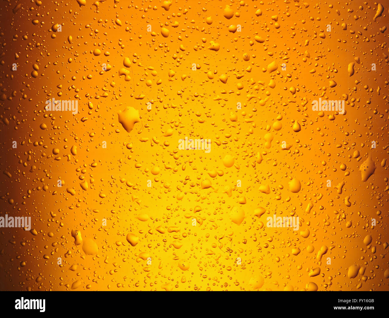 Wassertropfen auf Glas Bier. Hautnah. Stockfoto