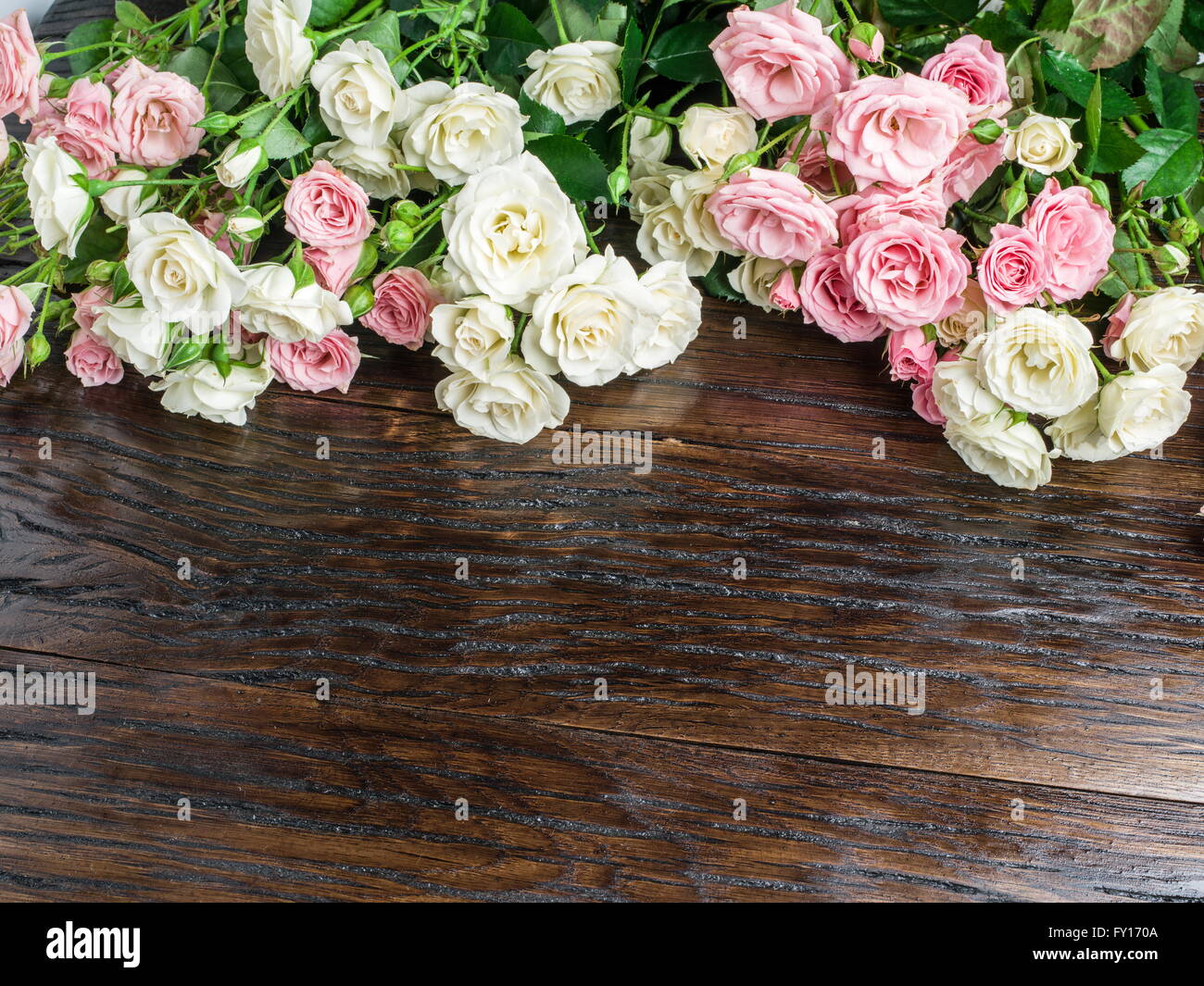 Zarte frische Rosen auf dem hölzernen Hintergrund. Stockfoto