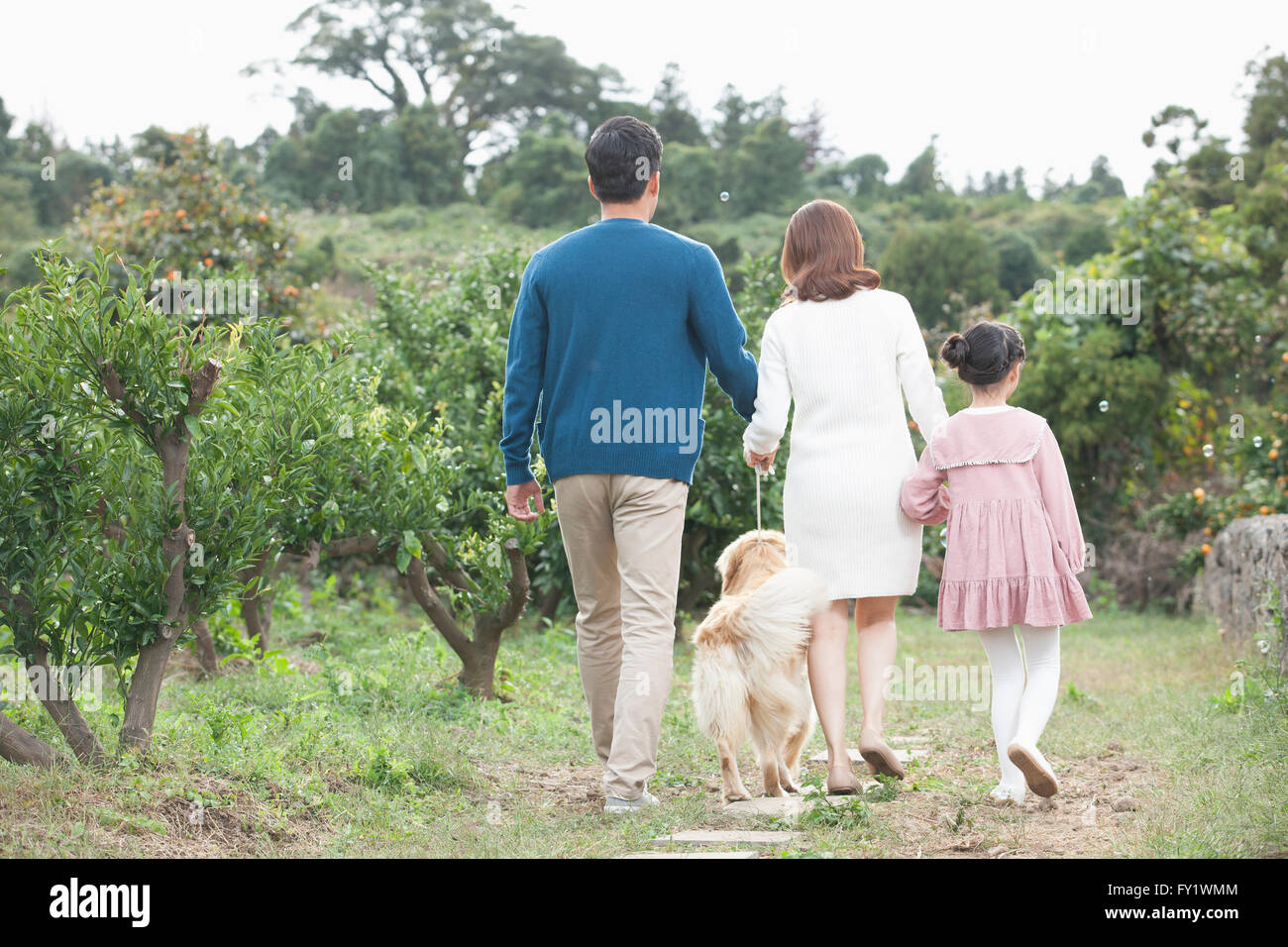 Darstellung der Familie und einem Hund zusammen spazieren auf der Werft Mandarine Nahfeld Vertretung Landleben zurück Stockfoto