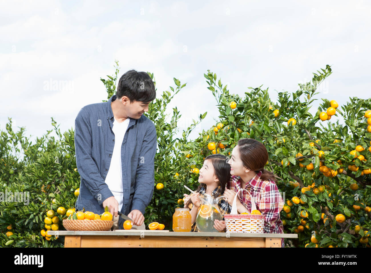 Familie kochen mit Mandarinen am Tisch im Feld Mandarine Stockfoto