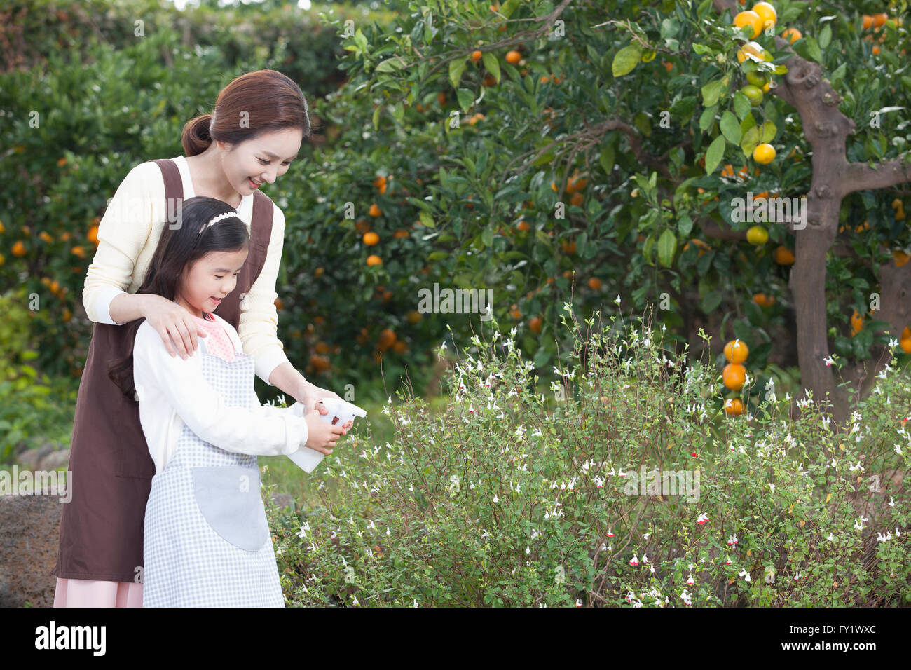 Mädchen und ihre Mutter Spritzen Pflanzen zusammen in der Nähe von den Mandarinen Baum, Gartenbau und ländlichen Lebens darstellt Stockfoto