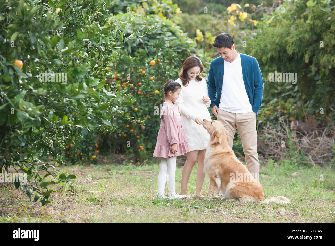 Familie Spaß mit einem Hund auf dem Hof Mandarine Nahfeld Stockfoto