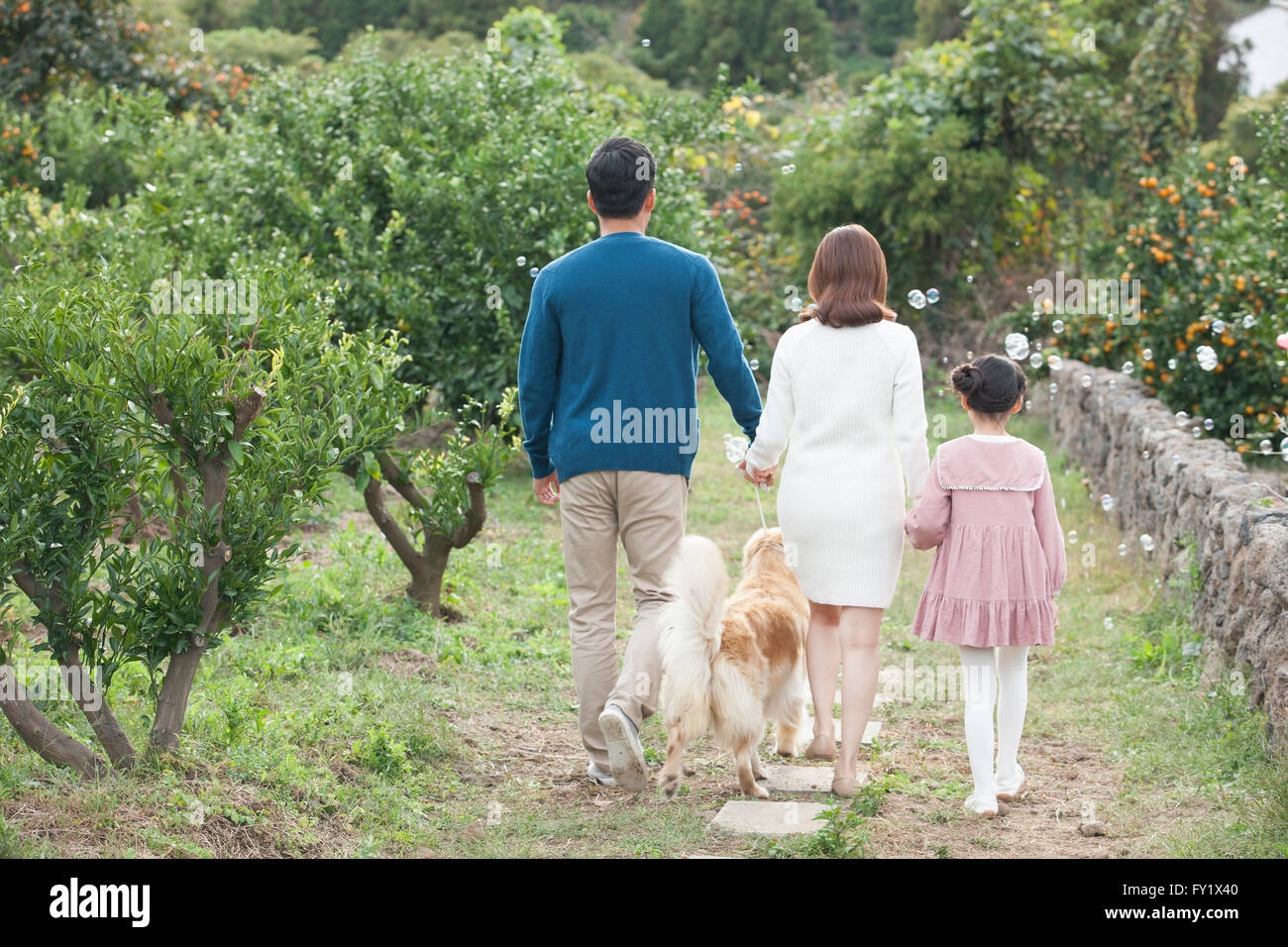 Darstellung einer Familie mit einem Hund zu Fuß auf der Werft in der Nähe von Mandarine Feld zurück Stockfoto