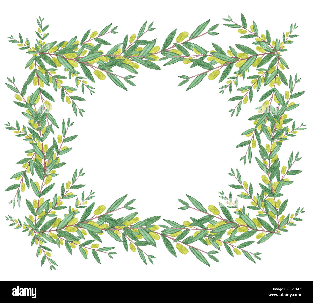 Aquarell Olive Kranz. Isolierte Darstellung auf weißem Hintergrund. Biologische und natürliche Konzept. Stockfoto