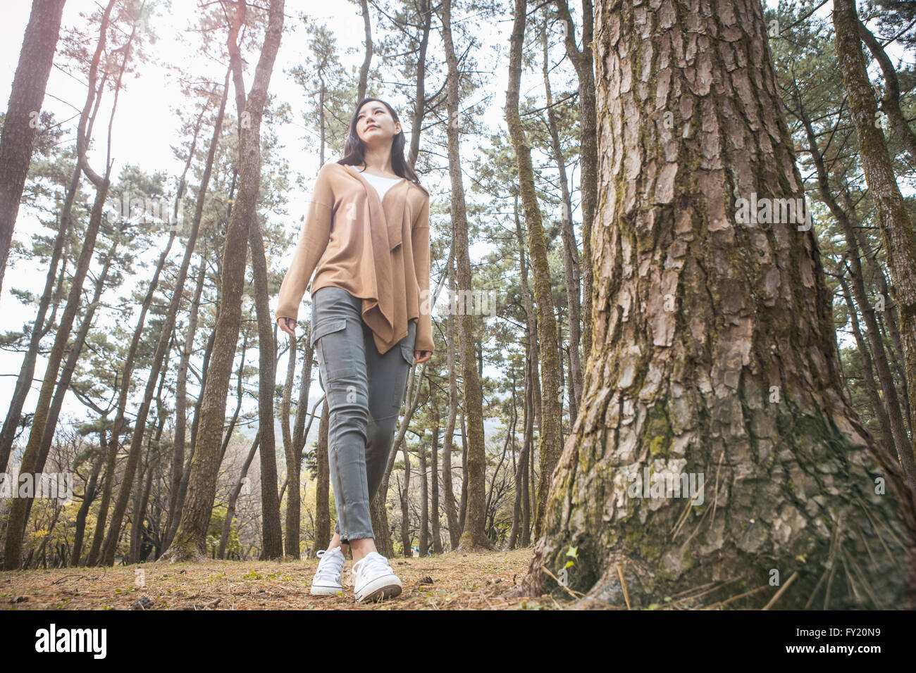 Niedrigen Winkel von eine Frau im Wald Stockfoto
