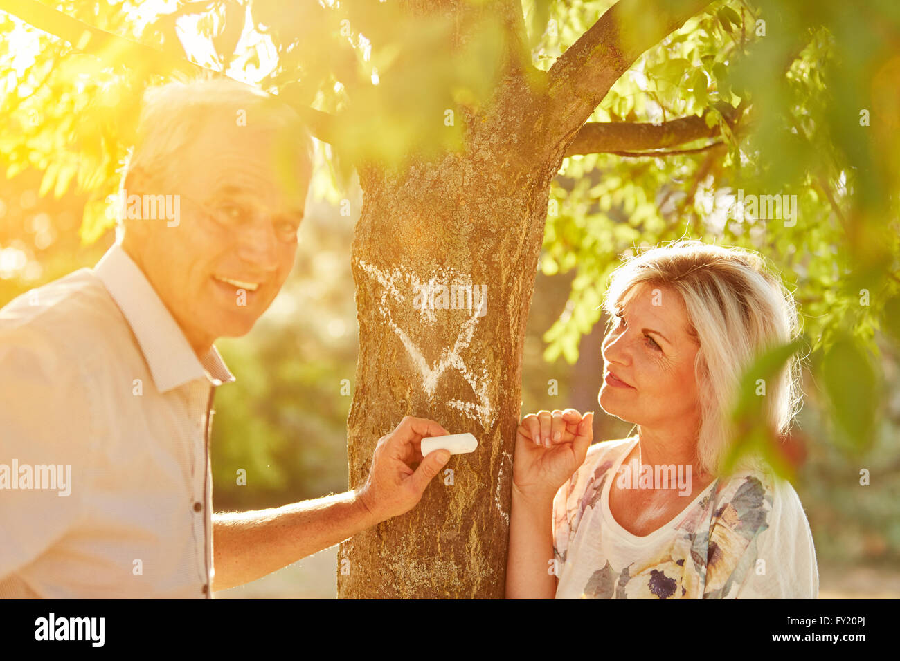 Seniorinnen und Senioren in der Liebe zeichnen ein Herz mit Kreide auf einem Baum im Sommer Stockfoto